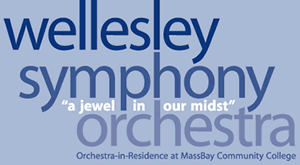Wellesley Symphoney Orchestra